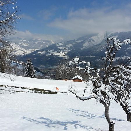 Ferienwohnung Mitterleithengut Zell am See Buitenkant foto