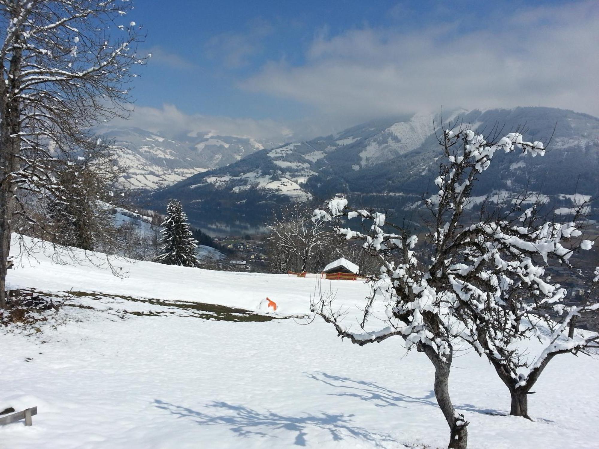 Ferienwohnung Mitterleithengut Zell am See Buitenkant foto