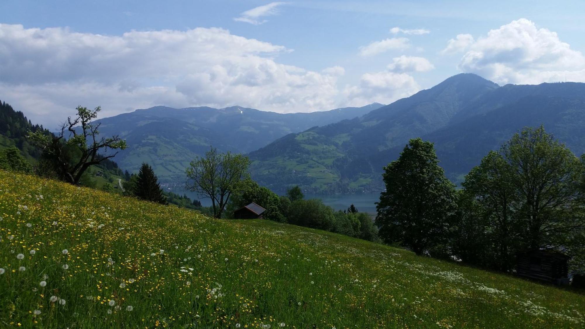 Ferienwohnung Mitterleithengut Zell am See Buitenkant foto